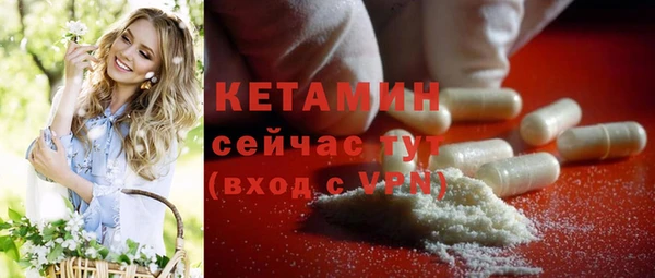 молекула духа Дмитриев